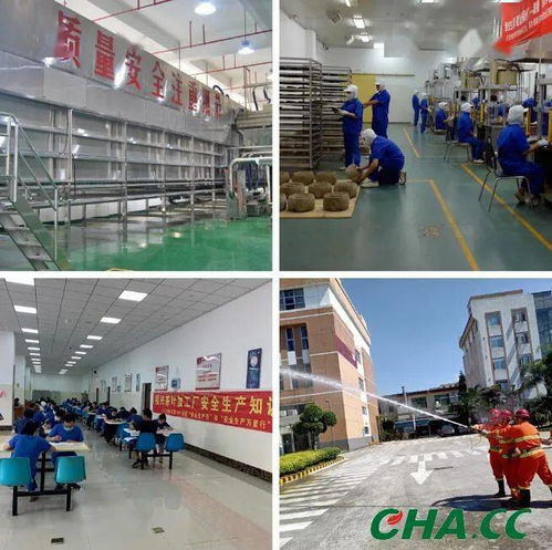中茶福建公司荣获 中国茶叶标准化示范工厂 称号
